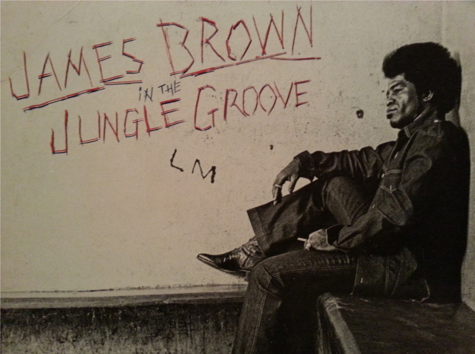 In the Jungle Groove